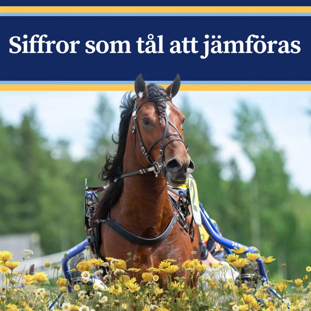Blomsterprinsen framifrån i tävlingssele. Text i bilden: Siffror som tål att jämföras.